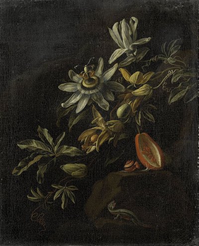 Stillleben mit Passionsblumen von Elias van den Broeck