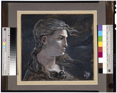 Kopf der Medusa, 1878 von Elihu Vedder