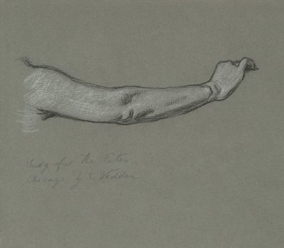 Studie für Die Schicksale, die die Sterne sammeln von Elihu Vedder