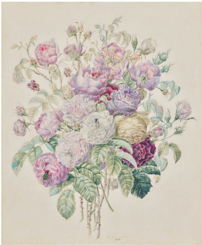 Ein Strauß Bourbon-Rosen von Elisa-Emilie Lemire