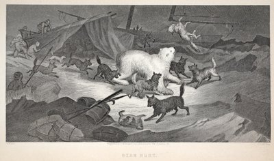 Bärenjagd, Illustration aus 