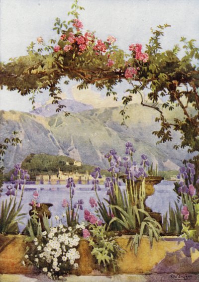 Ein Garten in Cadenabbia, Lago di Como von Ella Du Cane