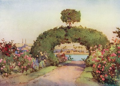 Ein Rosengarten in Gizeh und Blick auf Kairo von Ella Du Cane