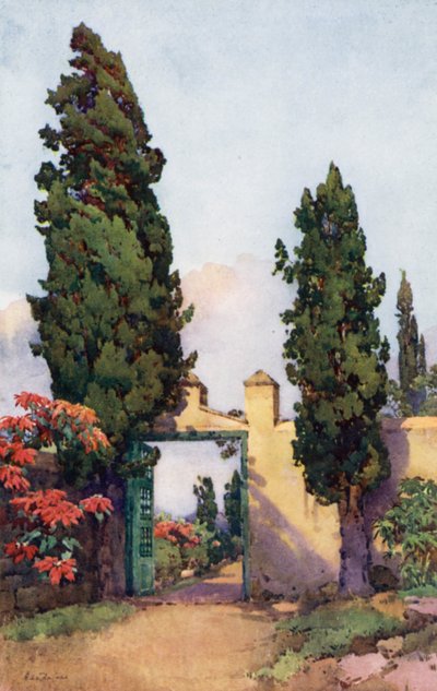 Ein altes Tor von Ella Du Cane