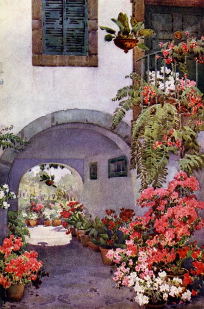 Azaleen in einem portugiesischen Garten von Ella Du Cane