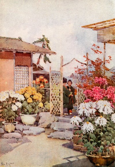 Chrysanthemen, Kyoto von Ella Du Cane