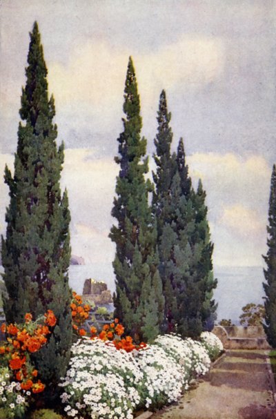 Zypressenallee, Quinta Stanford von Ella Du Cane