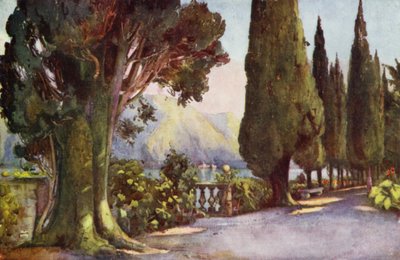Zypressenallee, Villa del Pizzo, Lago di Como von Ella Du Cane