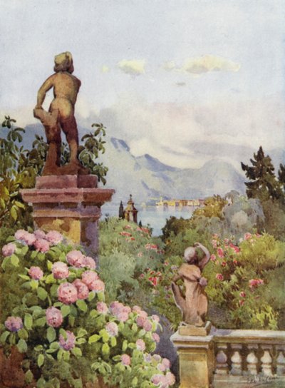 Hortensien, Isola Bella, Lago Maggiore von Ella Du Cane