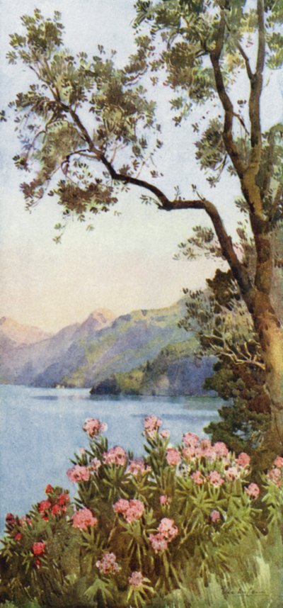 Lago di Lecco, Lago di Como von Ella Du Cane
