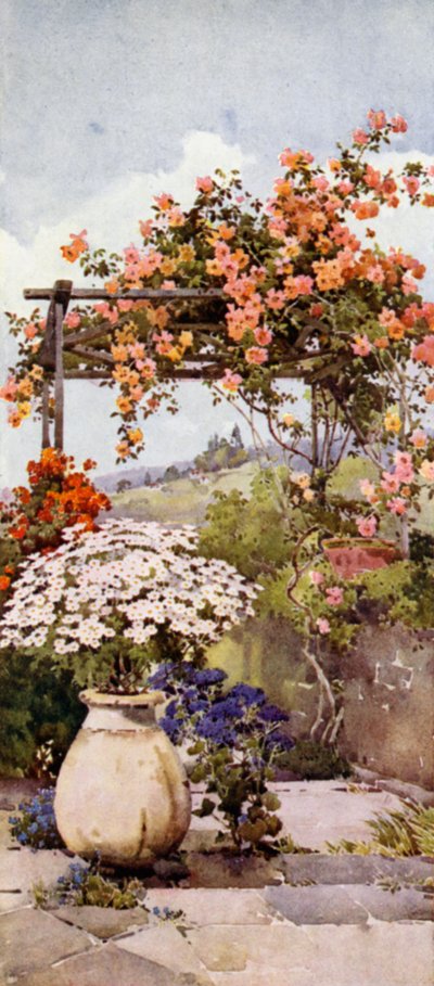 Rosen, Santa Luzia von Ella Du Cane