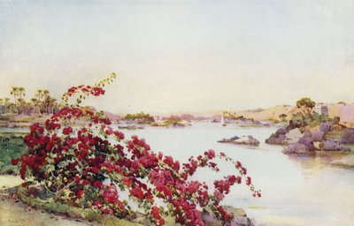 Blick von der Insel des Sirdar, Assuan von Ella Du Cane