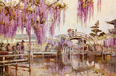 Wisteria, Kameido von Ella Du Cane