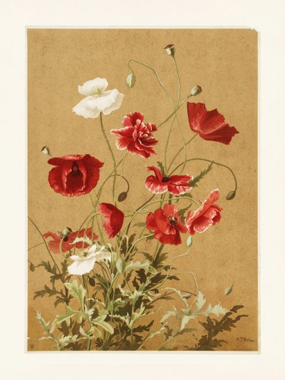 Mohnblumen Nr. 3 von Ellen Thayer Fisher von Ellen Thayer Fisher