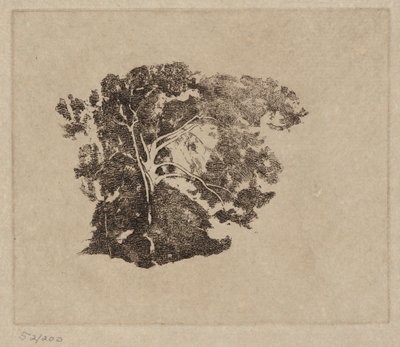 Baumstudie von Emil Carlsen