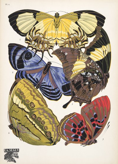 Tafel 4 aus Schmetterlinge, veröffentlicht 1925 von Émile Allain Séguy