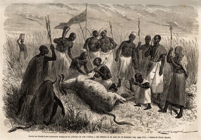 Ein Zauberer führt magische Operationen an einem geschlachteten Rind in Uganda durch, Zeichnung von Emile Bayard (1837-1891), die Captain Spekes Entdeckungsreise in Afrika von 1860 bis 1863 illustriert. Gravur in „Le tour du monde“, herausgegeben von Edoua von Emile Antoine Bayard