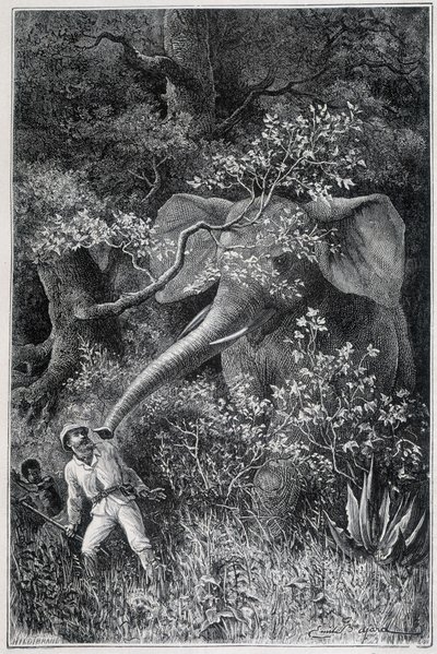 Livingstone überrascht von einem Elefanten, in „Le Tour du Monde“ von Emile Antoine Bayard