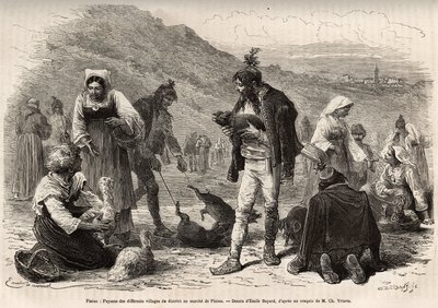 Die Bauern in der Umgebung von Pisino (Kroatien) versammeln sich zum Verkauf ihrer landwirtschaftlichen Produkte auf dem Markt: Geflügel, Ferkel..., Gravur nach einer Zeichnung von Emile Bayard zur Illustration der Reise nach Istrien und Dalmatien, 1874, v von Emile Antoine Bayard