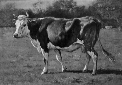 Studie einer Kuh von Emile van Marcke de Lummen