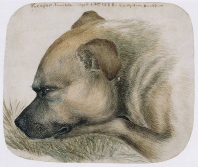 Wächter - aus dem Leben, 1838 von Emily Bronte