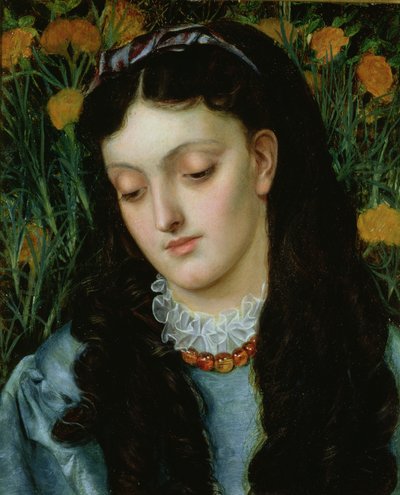 Die schöne Nachtkerze von Emma Sandys