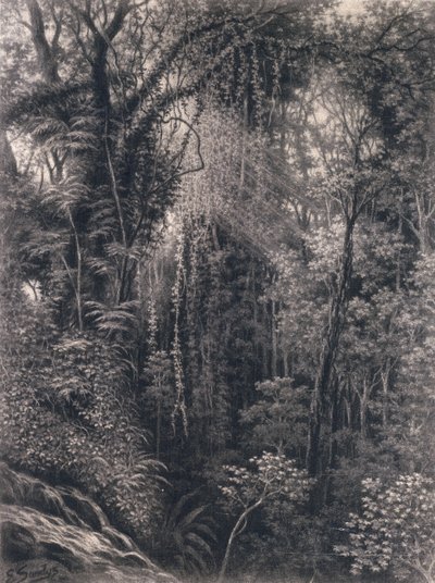 Blick auf die Schlucht oberhalb von Apia, Upolu, Westsamoa, 1877 von Emma Sandys