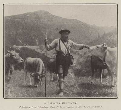 Ein Brescia-Hirte von English Photographer