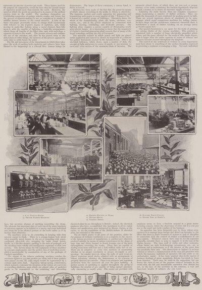 Eine britische Lektion von English Photographer