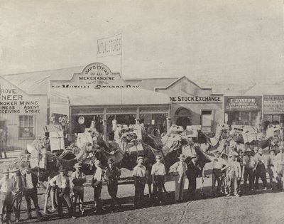 Ein Kamelzug, Coolgardie, Westaustralien von English Photographer