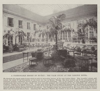 Ein modischer Treffpunkt von heute, der Palm Court im Carlton Hotel von English Photographer