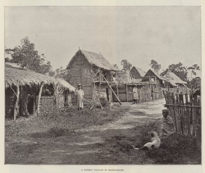Ein Walddorf in Madagaskar von English Photographer