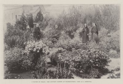 Ein Hafen des Friedens, der Klostergarten in Bloemfontein, als Krankenhaus genutzt von English Photographer