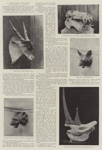 Die Schätze eines Naturforschers von English Photographer