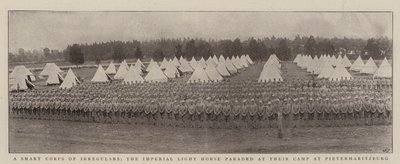 Ein schlaues Korps von Unregelmäßigen, das kaiserliche Leichte Kavallerie-Regiment bei der Parade in ihrem Lager in Pietermaritzburg von English Photographer