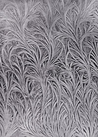 Eine Fensterscheibenstudie von Frostkristallen von English Photographer