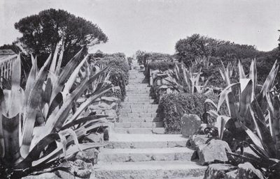 Ein Stück in den Gärten von Tresco von English Photographer