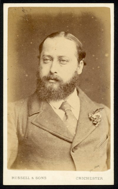Albert Edward, Prinz von Wales von English Photographer