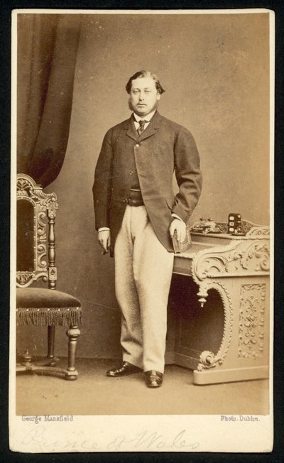 Albert Edward, Prinz von Wales von English Photographer
