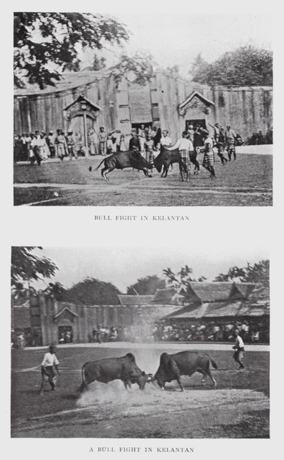Stierkampf in Kelantan von English Photographer