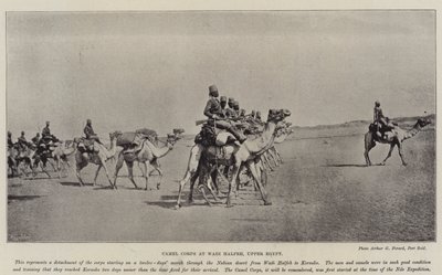 Kamelkorps in Wadi Halfa, Oberägypten von English Photographer