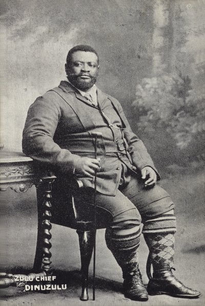 Cetshwayo kaMpande, König der Zulu-Nation von English Photographer