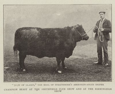 Champion-Tier auf der Smithfield Club Show und auf der Birmingham Show von English Photographer