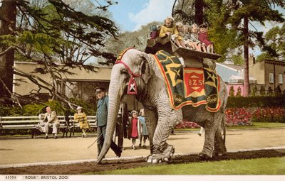 Kinder genießen eine Fahrt auf Rosie dem Elefanten, Bristol Zoo von English Photographer