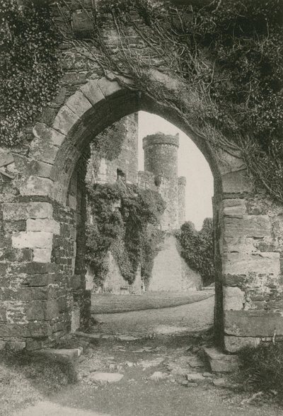 Conway Castle von English Photographer