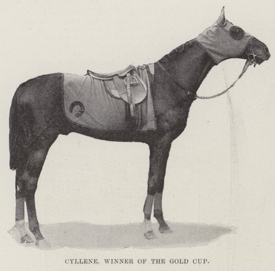 Cyllene, Gewinner des Goldpokals von English Photographer