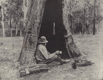 Pechvogel von English Photographer