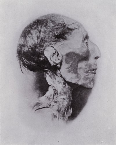 Ägypten: Kopf von Ramses II von English Photographer