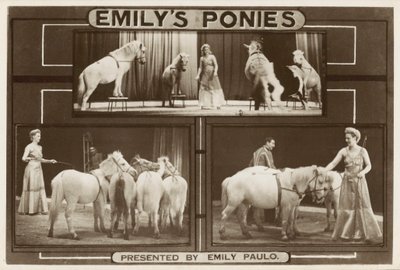 Emily Paulo und ihre dressierten Ponys von English Photographer