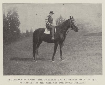 Endurance-by-Right, die größte Stute der Vereinigten Staaten von 1901, gekauft von Mr. Whitney für 40.000 Dollar von English Photographer